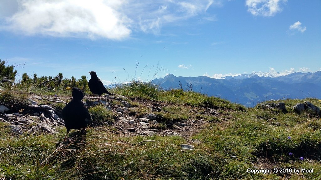 Berchtesgadener Hochthron